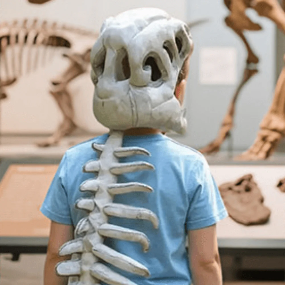 SpineSaurus⢠Plush Dino Outfit